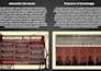 create a visual timeline or professional chronological document